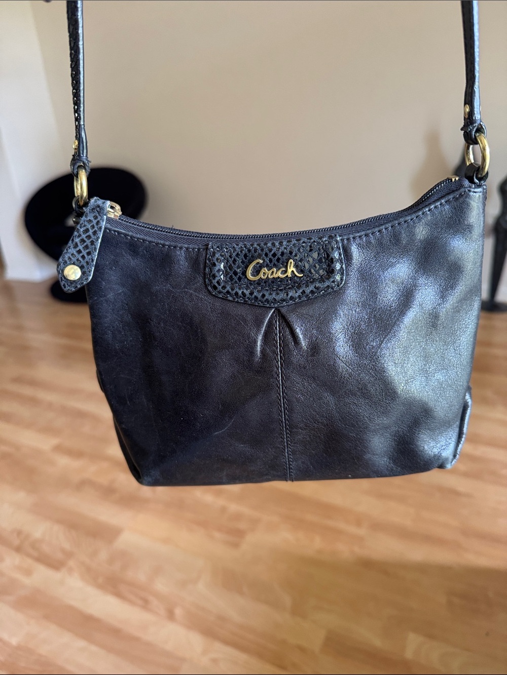 COACH Ashley Leather Swingpack Crossbody Handbag, GUC